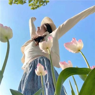 蔷薇少女第二季 梦之终结