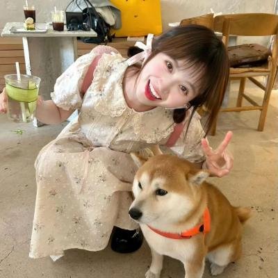 真爱无尽